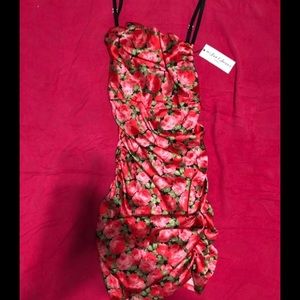 For Love & Lemons Rose Dress SZ Large NWOT